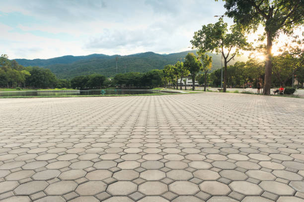Best Interlocking Driveway Pavers  in Somonauk, IL